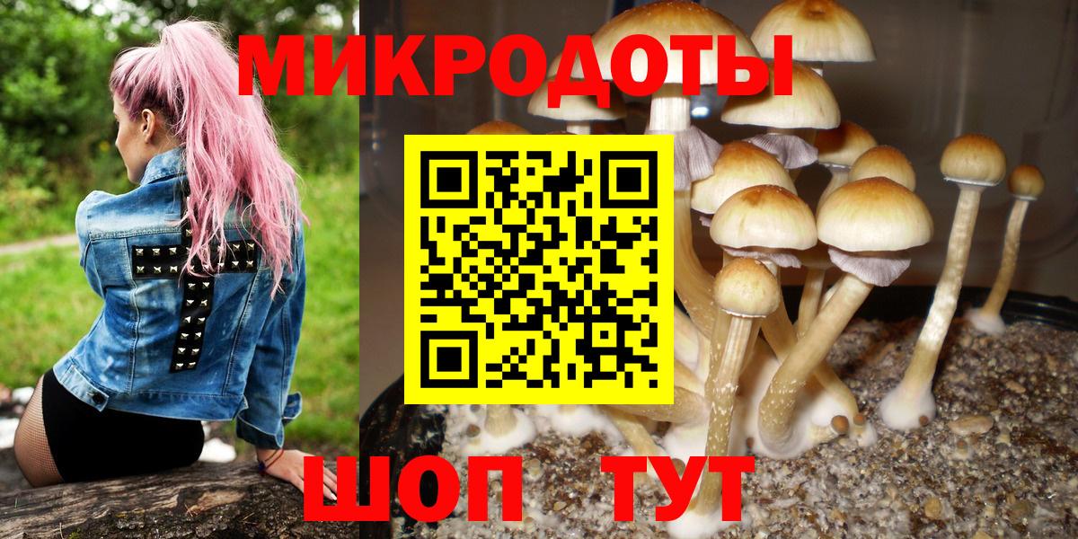 Галлюциногенные грибы GOLDEN TEACHER  Вход с VPN  Избербаш  Псилоцибиновые грибы Psilocybine cubensis 