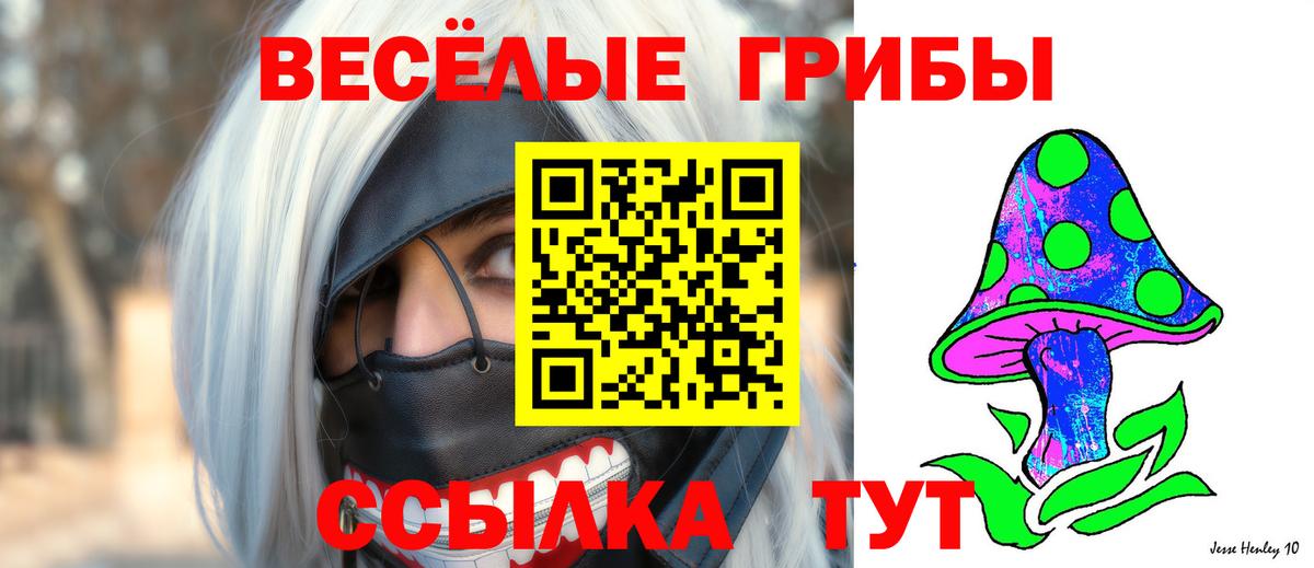 Галлюциногенные грибы Psilocybe Избербаш