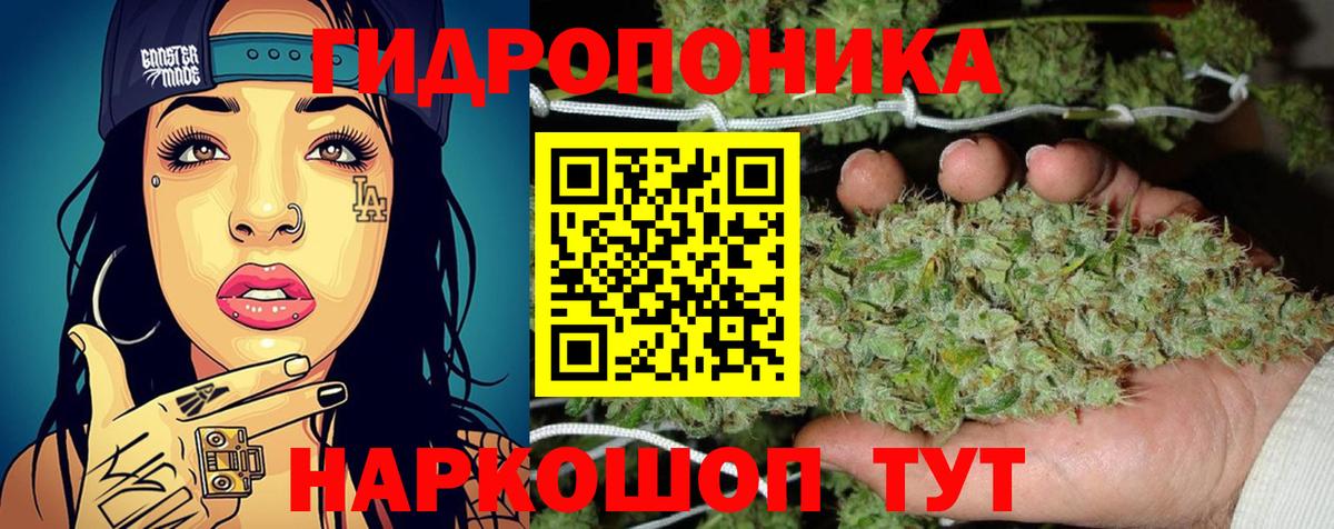 Шишки марихуана планчик  Вход с VPN  Избербаш  Канабис THC 21%  Конопля VHQ 